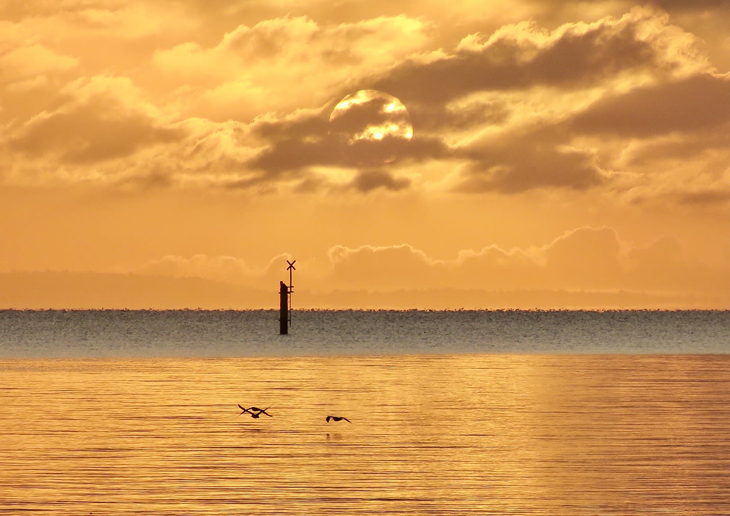 Anne Spudvilas, Molten Gold