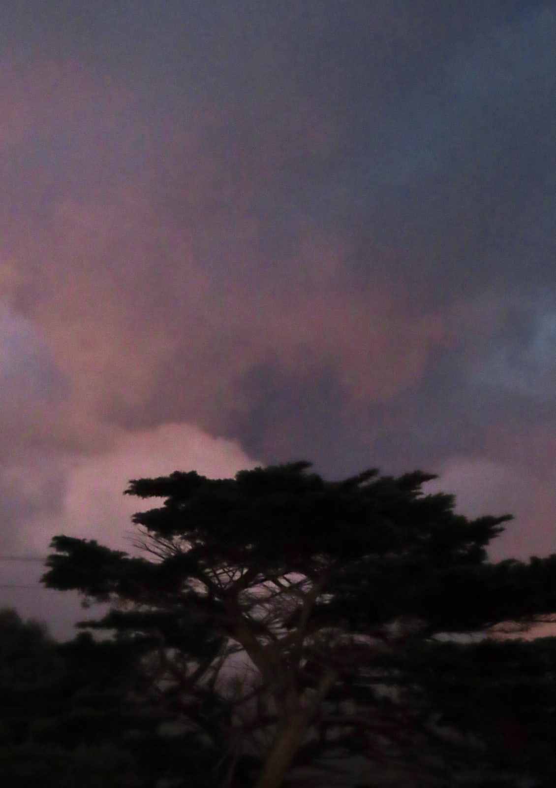 Anne Spudvilas, Evening