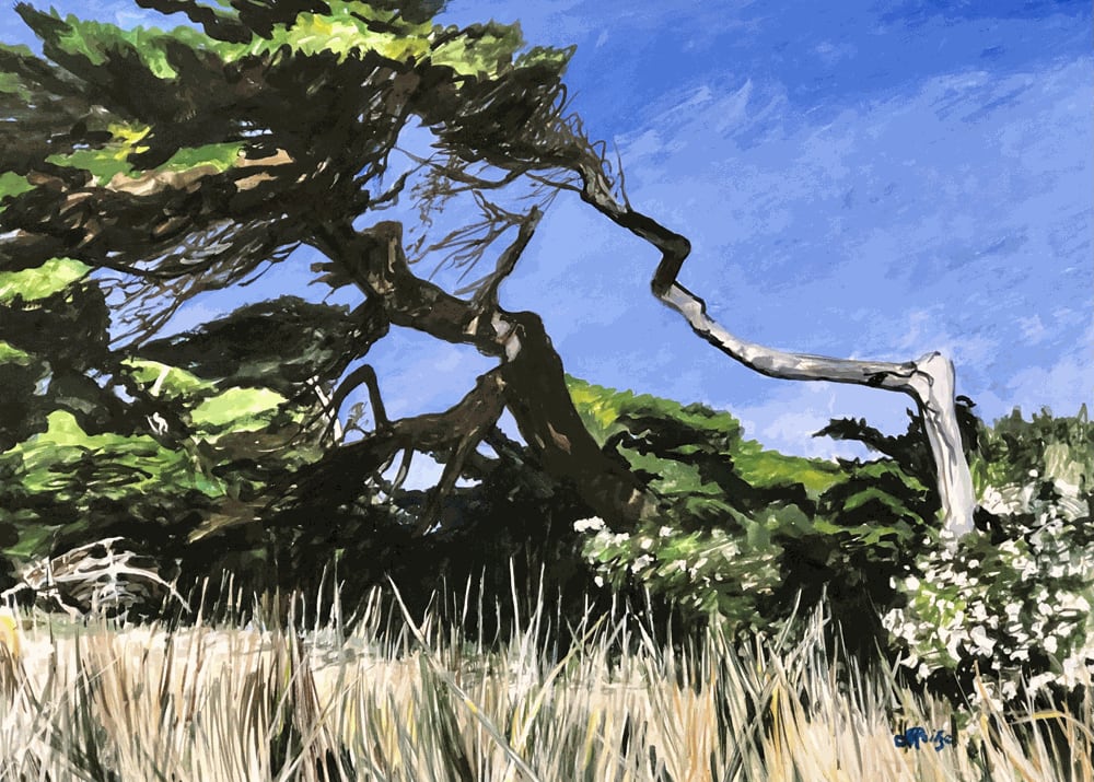 Jo Reitze, Resilience, 2020