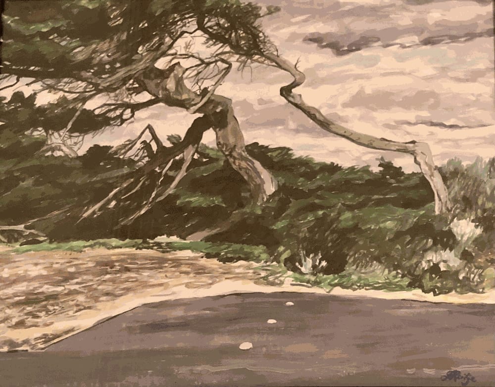 Jo Reitze, Windswept Trees, 2020
