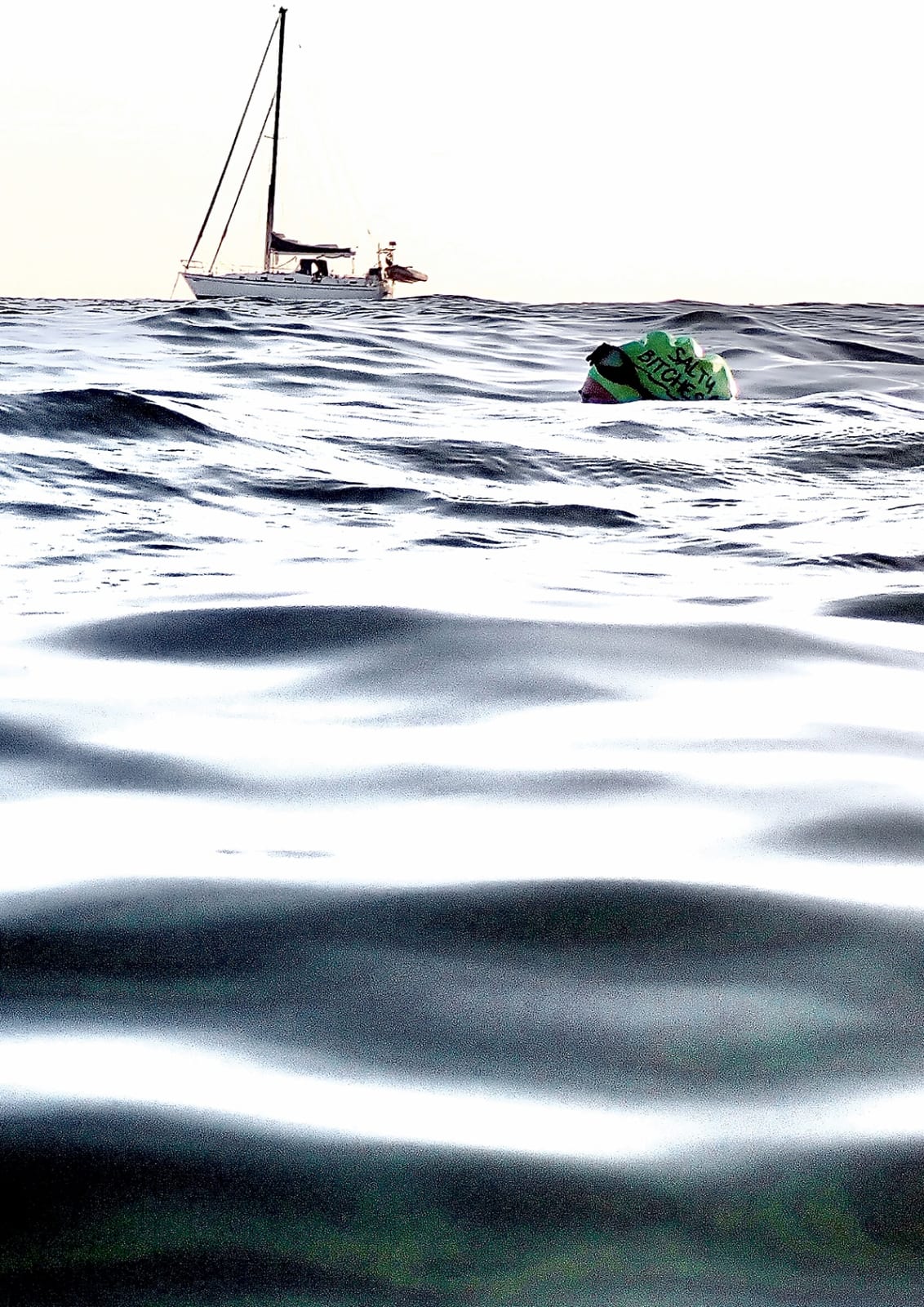 Anne Spudvilas, Salty Bitch