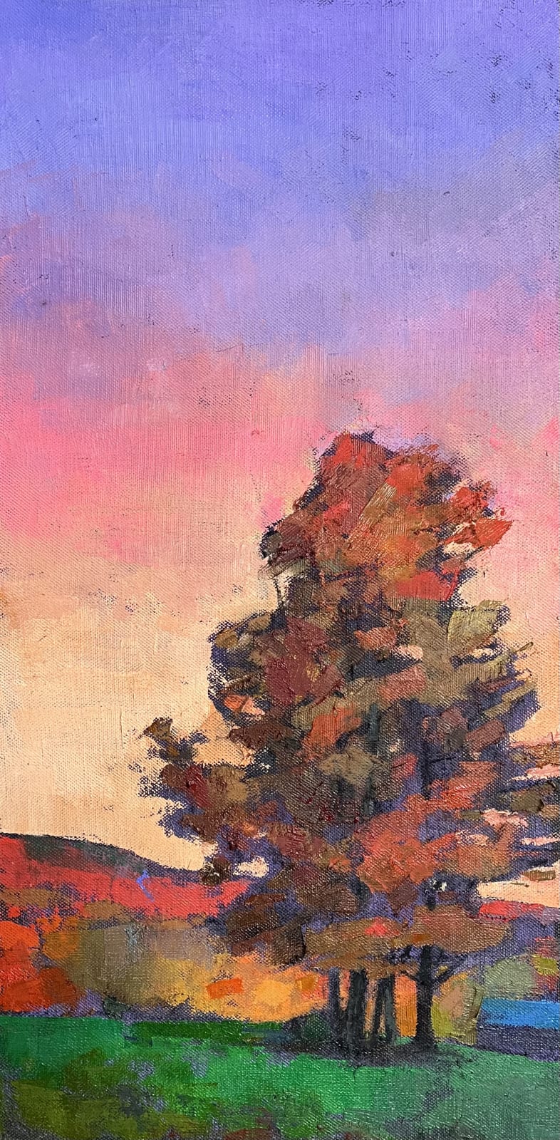 Larry Horowitz, Moody Sunset, 2025