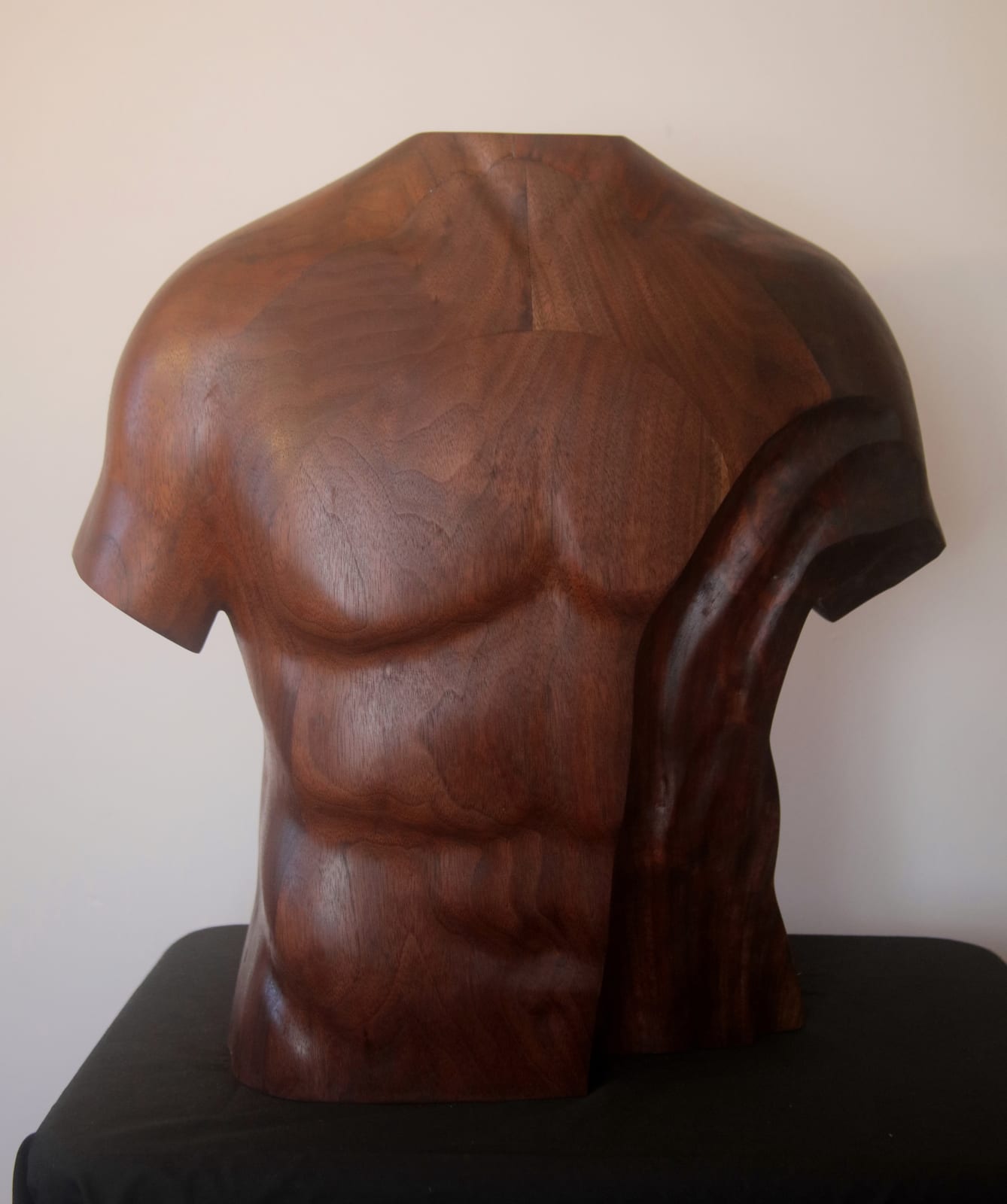 David Stevens, Male Torso, 2024