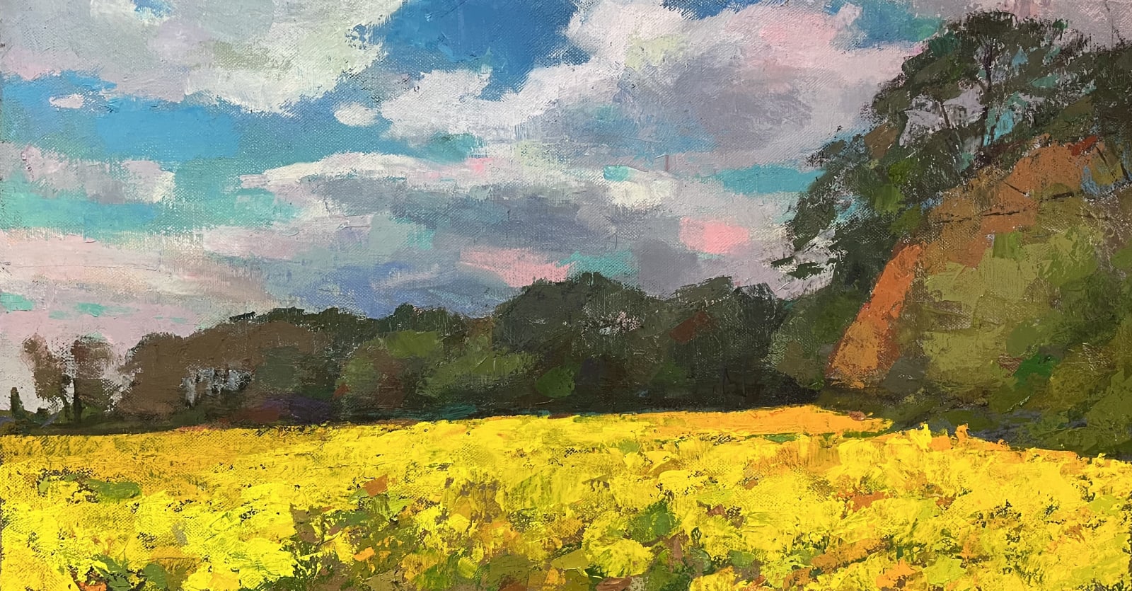 Larry Horowitz, Cadmium Yellow Field, 2025