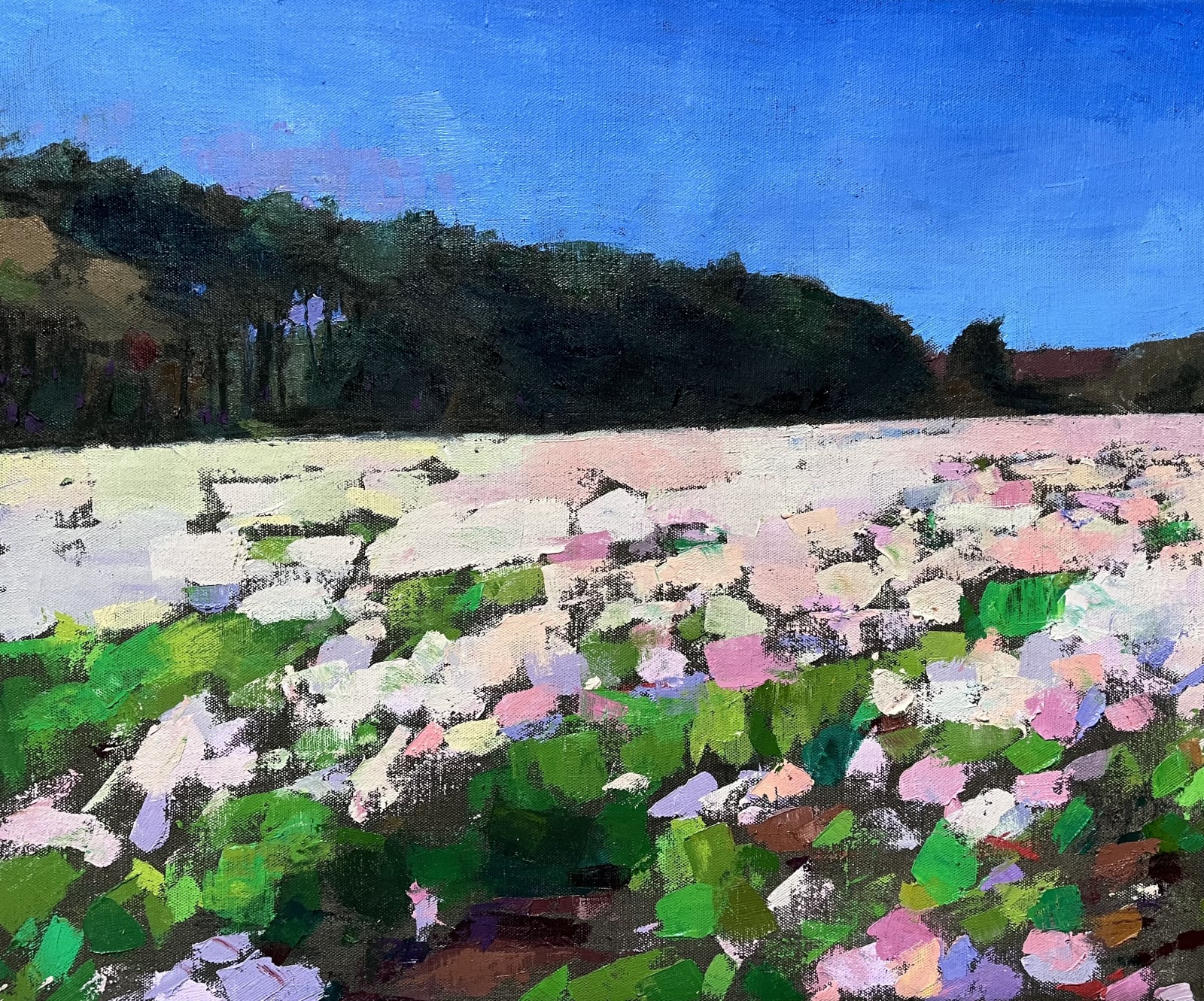 Larry Horowitz, Summer Flower Field