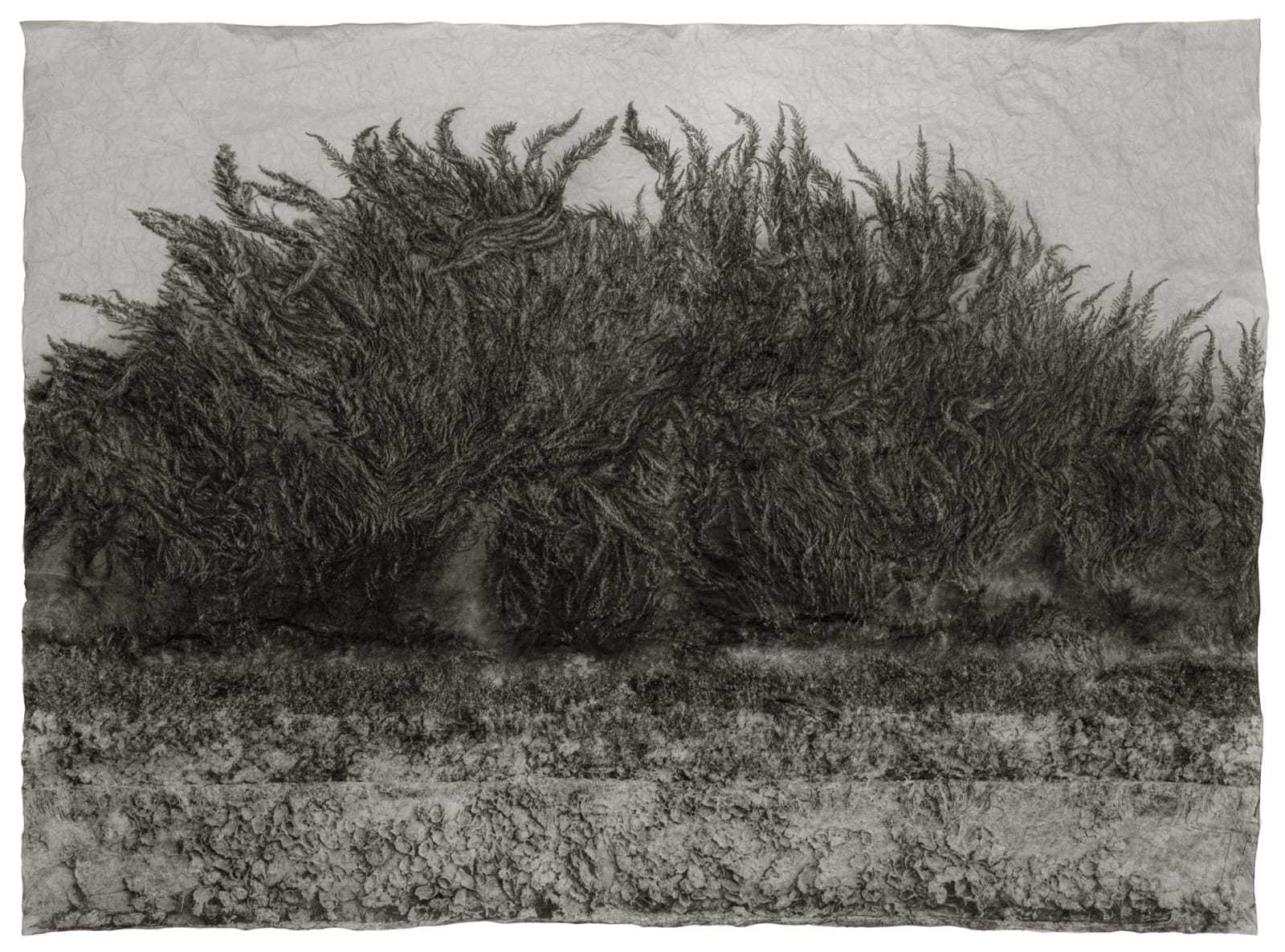 Gregor Törzs, Museo