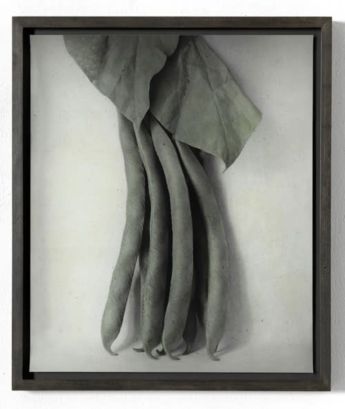 Ingar Krauss, Bohnen