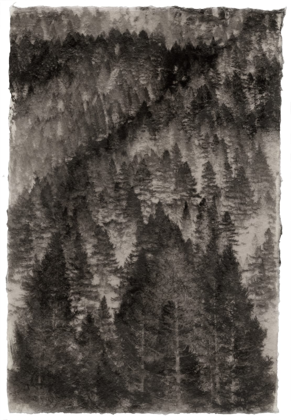 Gregor Törzs, Larix Alpine No. 1, 2024