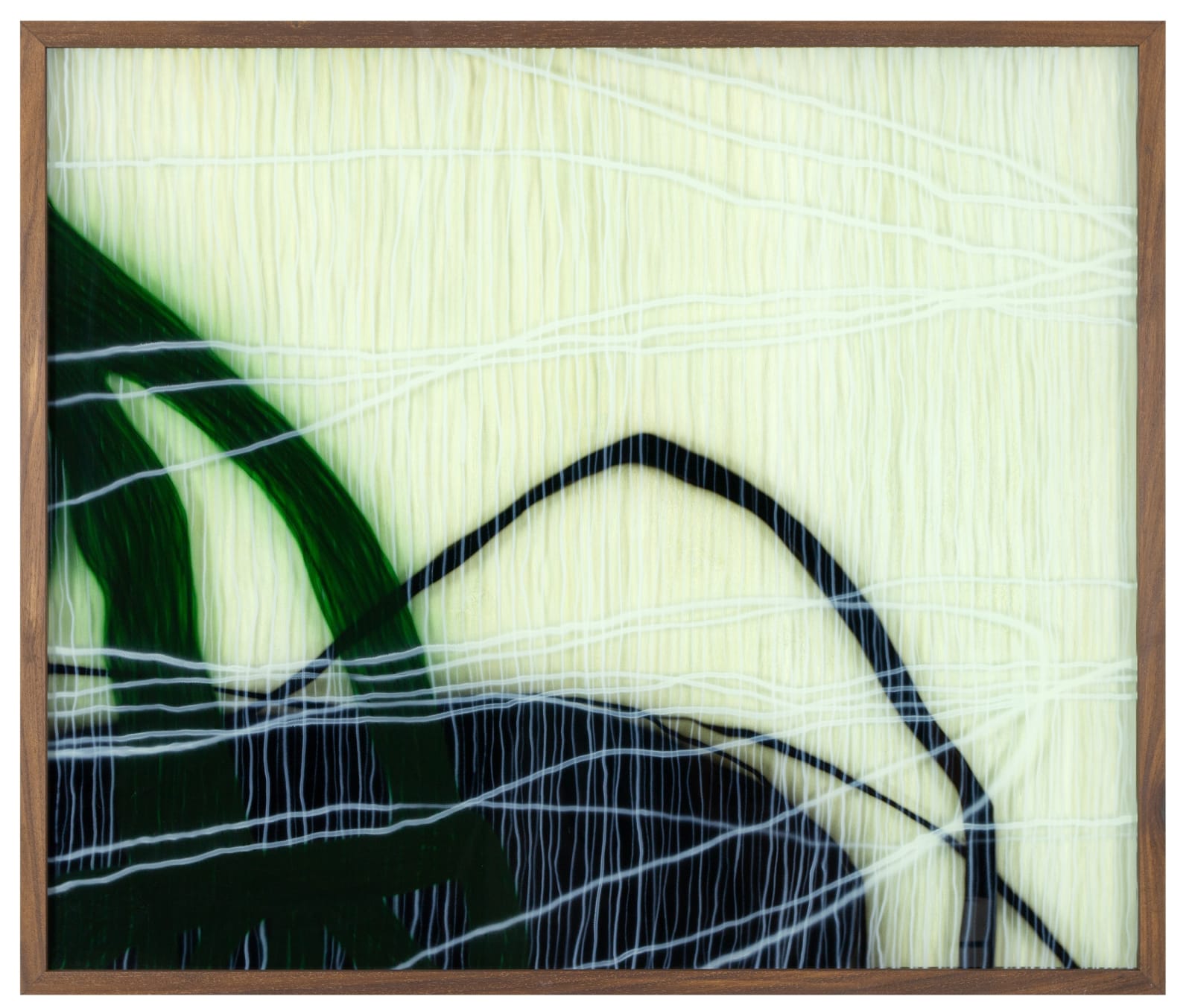 Julio Rondo, ECHO: GREEN, 2004