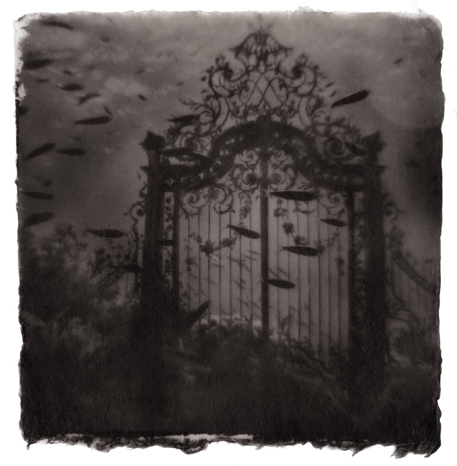 Gregor Törzs, Underwater - Ciel Lourd