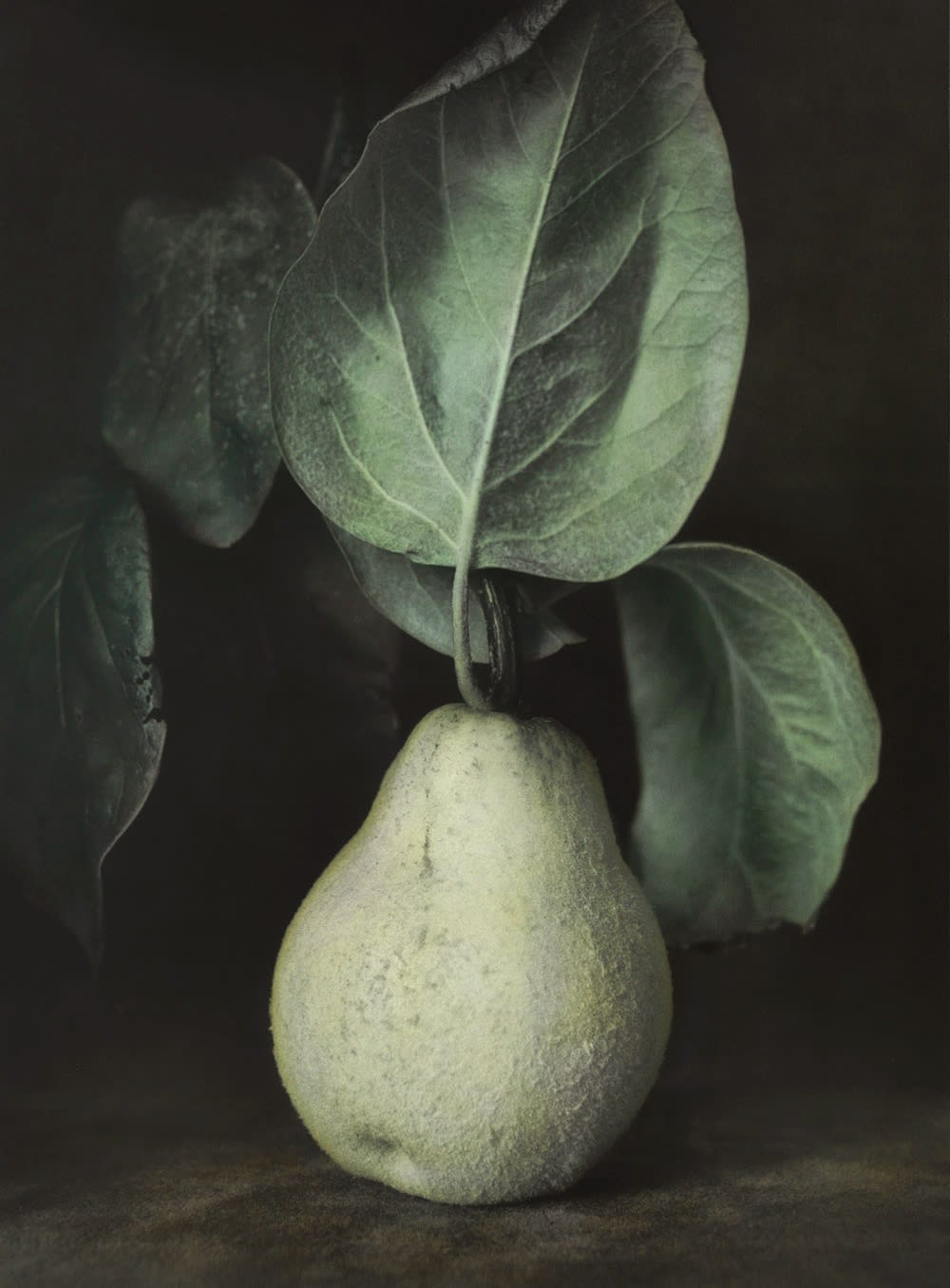 Ingar Krauss, Quitte