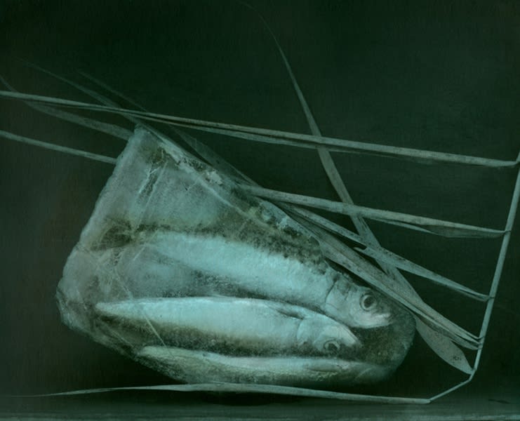 Ingar Krauss, Sardinen, 2014