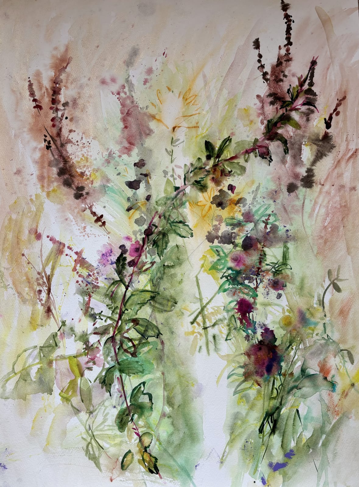 wildflower meadow , 2023