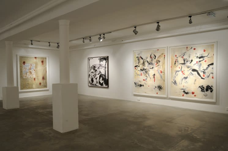 Installation view, Uwe Wittwer: Outsiders Delight, Contemporard Art Derry, Derry, Ireland, 2012