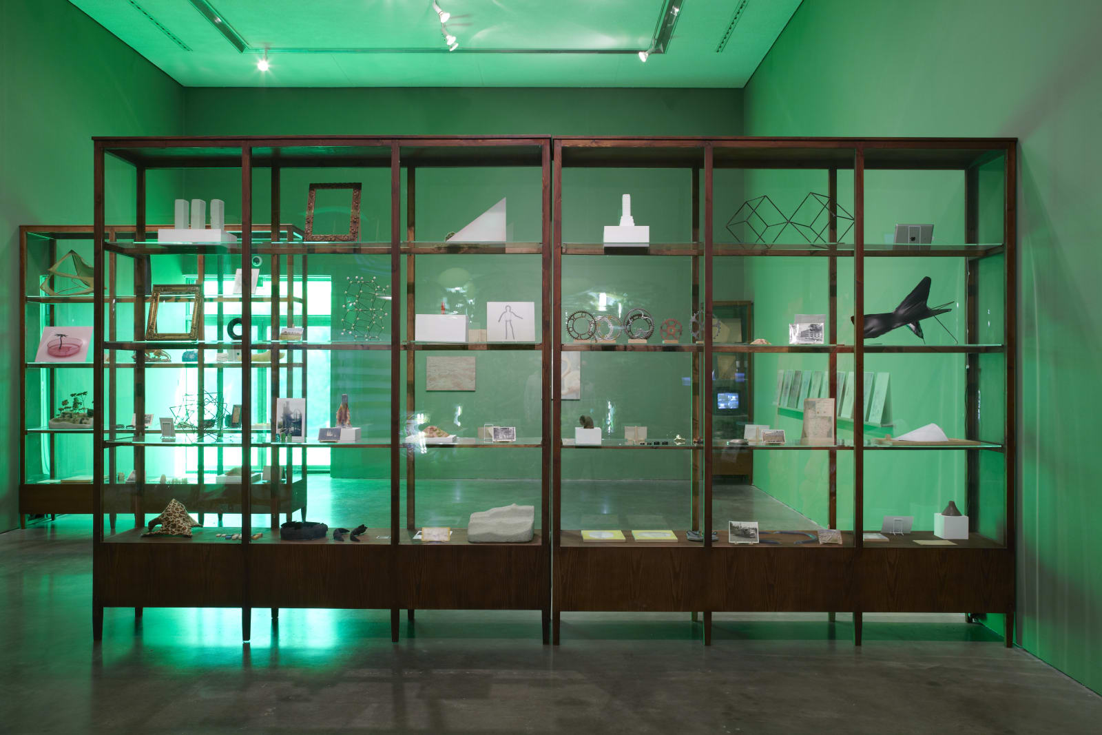 Installation view, Melanie Smith: Fordlandia, Milton Keynes Gallery, Milton Keynes, United Kingdom, 2014