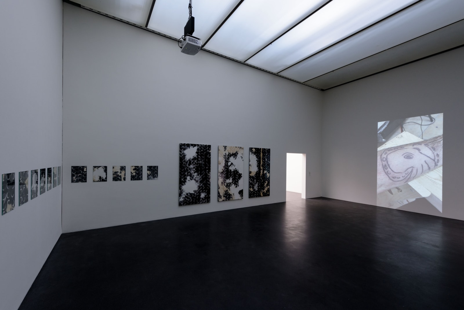 Installation view, WARUM ICH MICH IN EINE NACHTIGALL VERWANDELT HABE: Fabian Marti, Kunstmuseum Luzern, Luzern, Switzerland, 2016