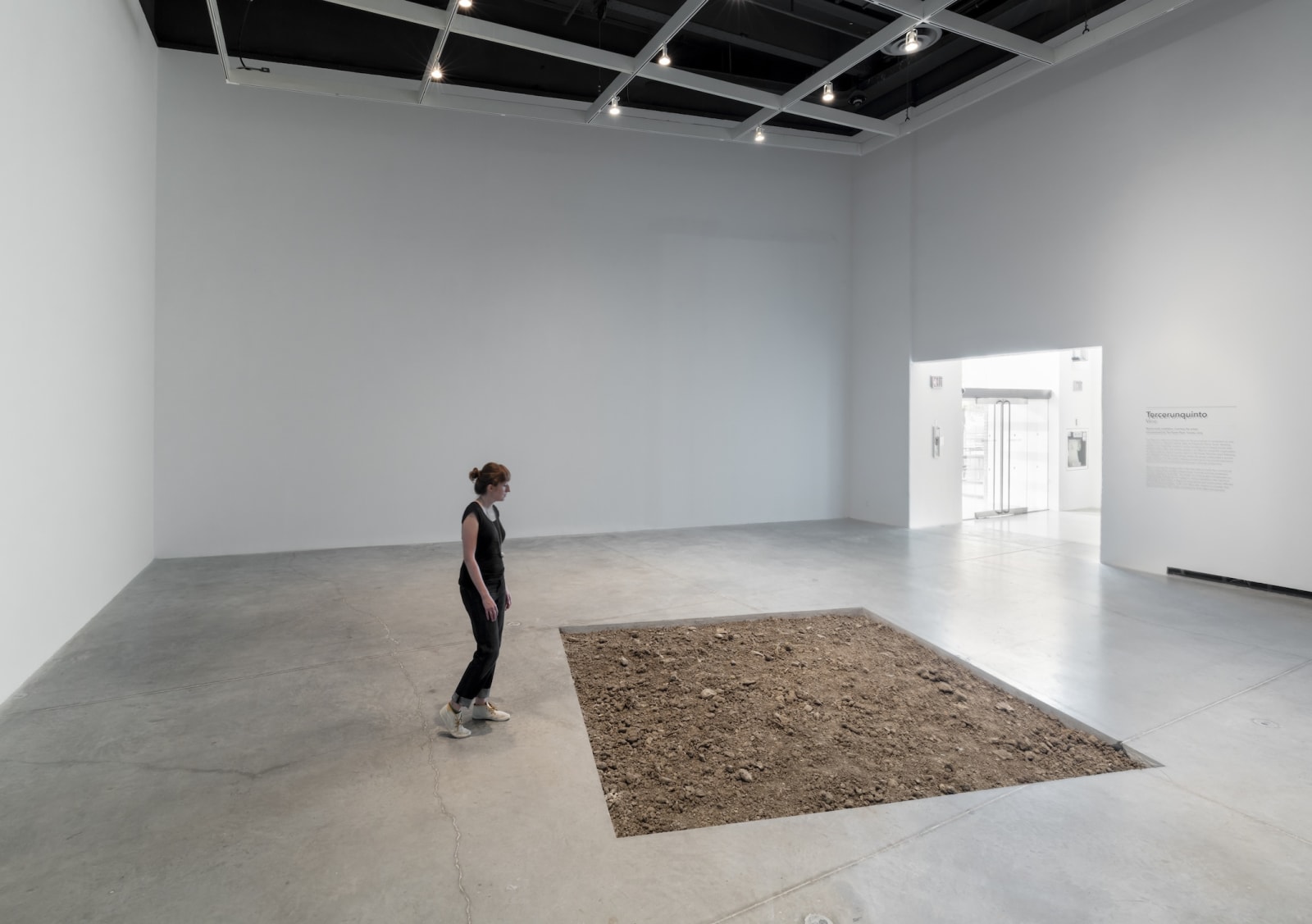 Installation view, Tercerunquinto: Mine, The Power Plant, Toronto, Canada, 2015