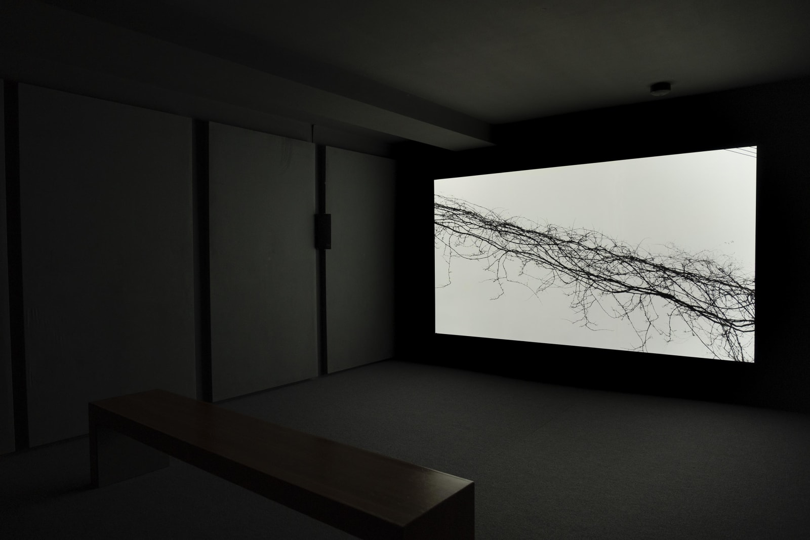 Installation view, Willie Doherty: WHERE, Ulster Museum, Belfast, Northern Ireland, 2021