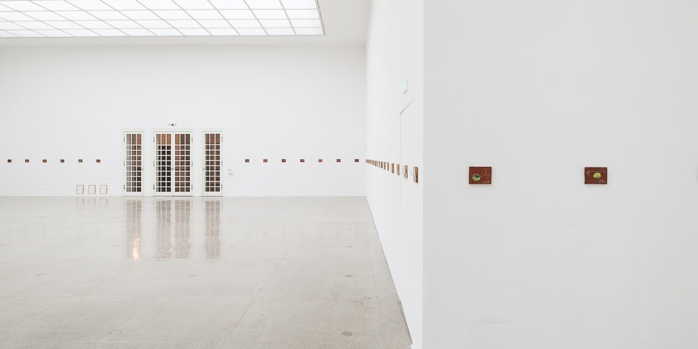 Francis Alÿs, Le temps du sommeil, Ausstellungsansicht, Secession, 2016 Photo: Jorit Aust