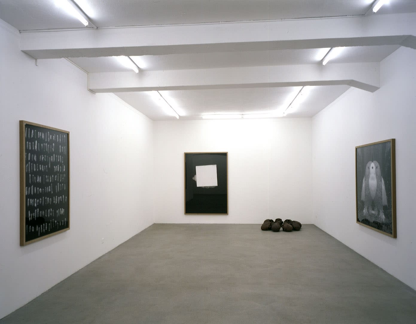 Installation view, Fabian Marti: Ape, Mom, I, Galerie Peter Kilchmann, Zurich, Switzerland, 2007