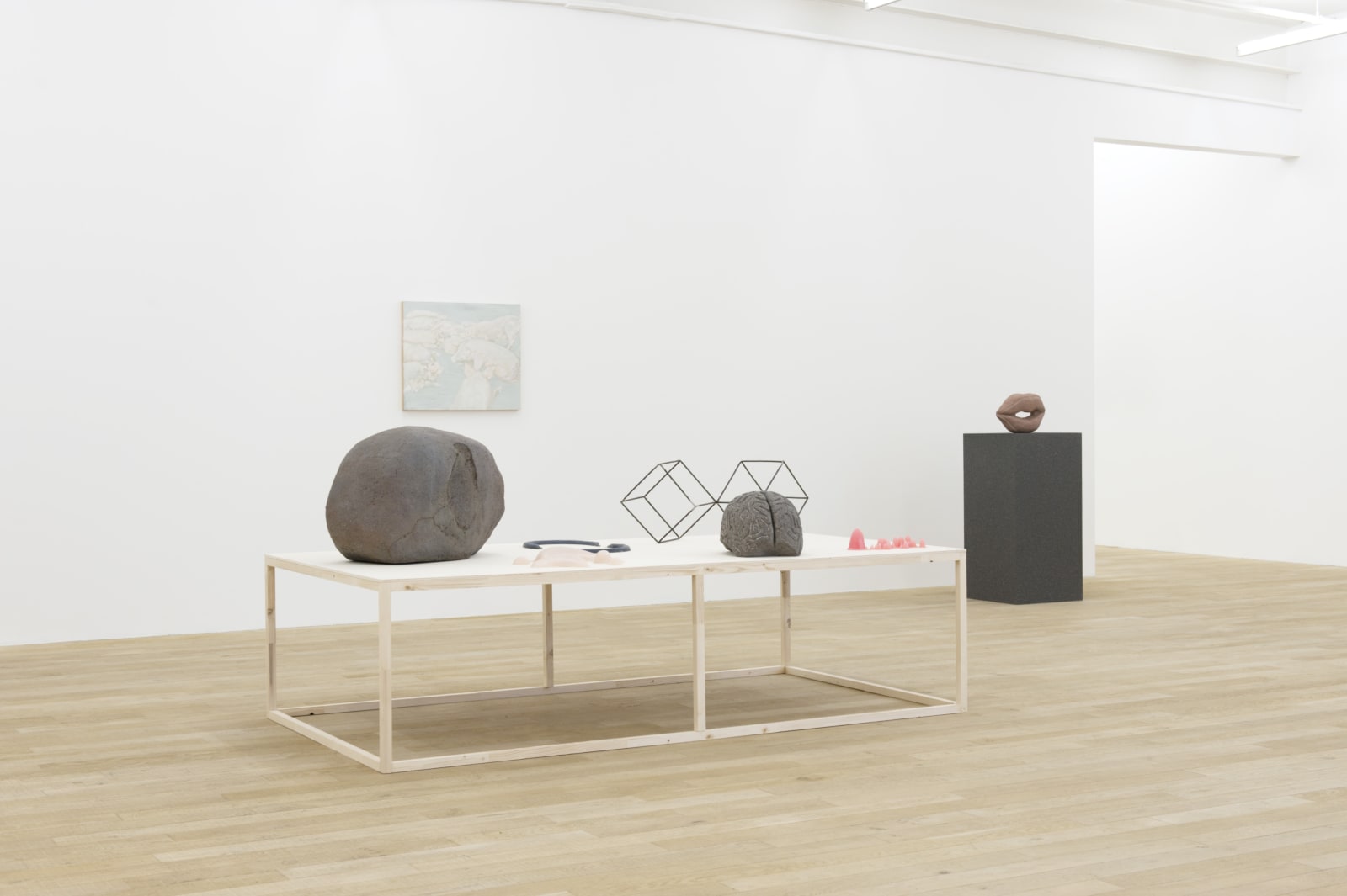 Installation view, Melanie Smith: Elevador, Galerie Peter Kilchmann, Zurich, Switzerland, 2012, Photo: Sebastian Schaub