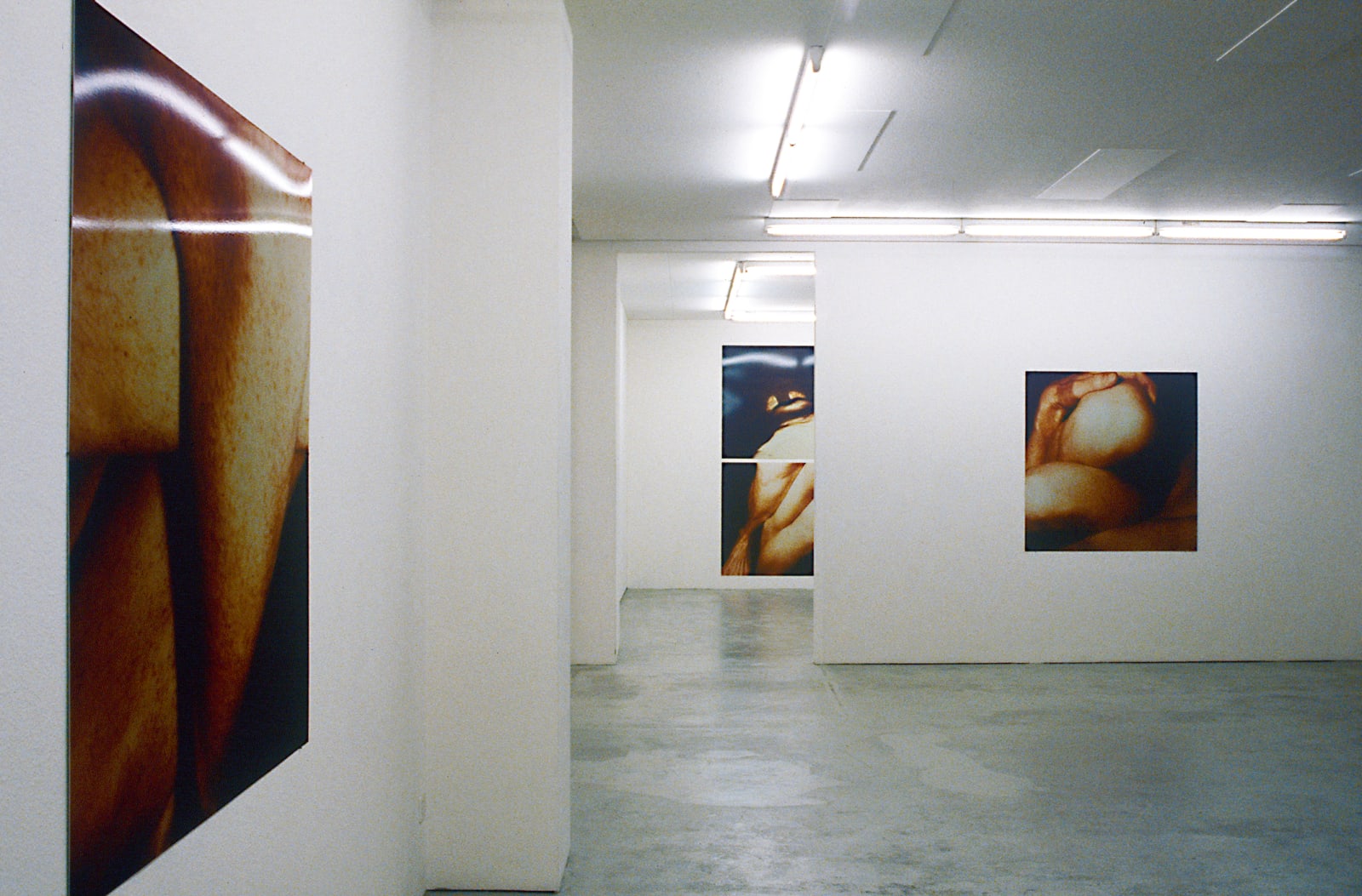 Installation view, Hannah Villinger, Galerie Peter Kilchmann, Hardturmstrasse, Zurich, Switzerland, 1994