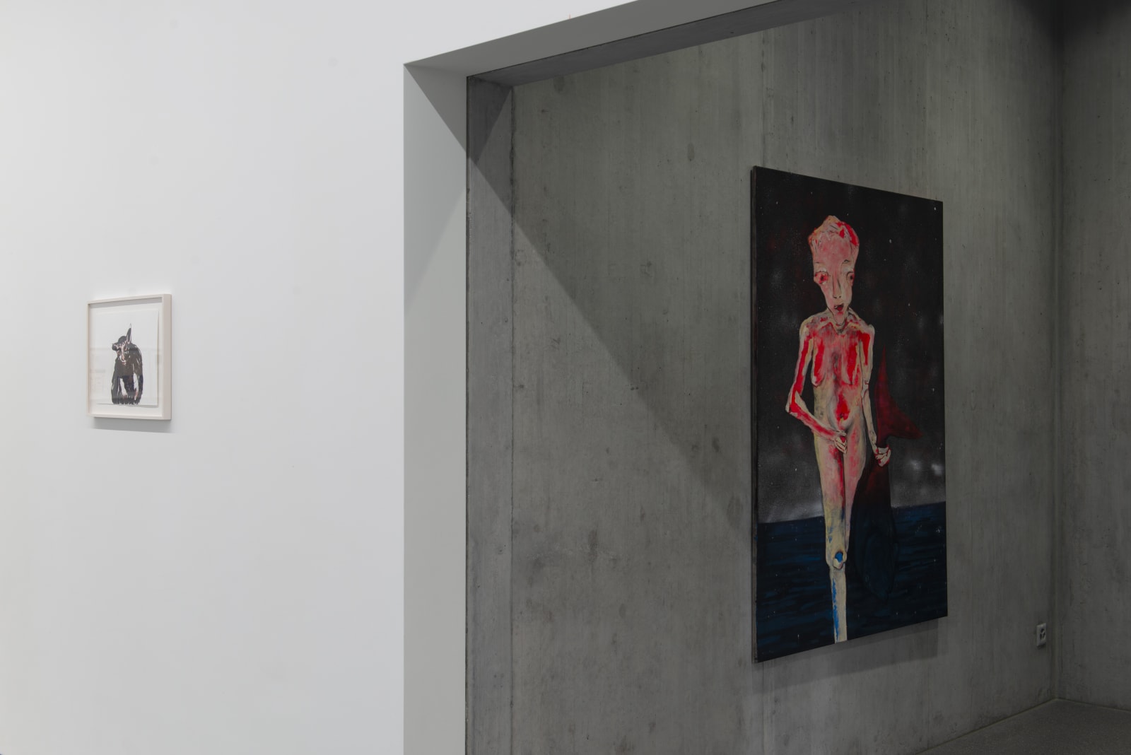 Installation view, Andriu Deplazes: Rote Augen, Bündner Kunstmuseum Chur, Chur, Switzerland, 2019