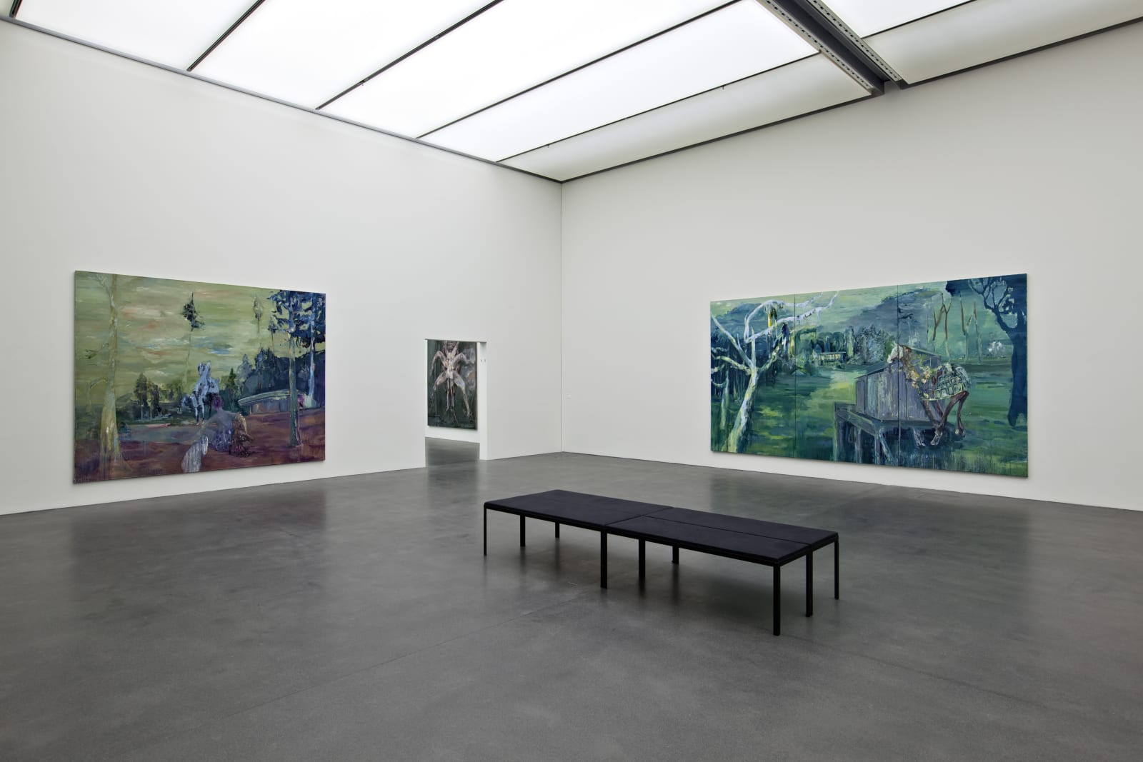 Installation view, Valérie Favre: Vision, Kunstmuseum Luzern, Luzern, Switzerland, 2009