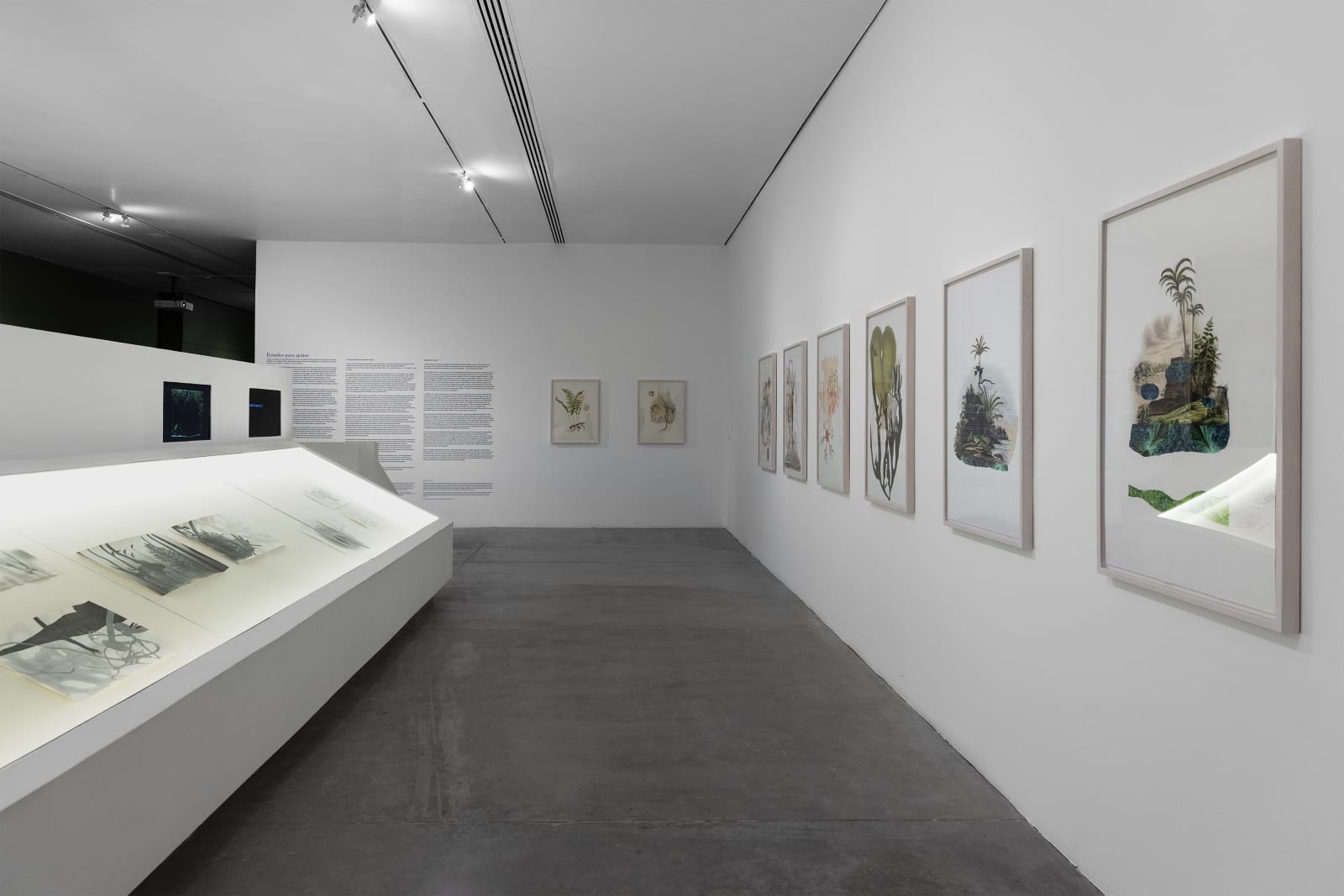 Time Feels Less If We Stay Still,” May 31 – October 26, 2025, Museo de Arte de Zapopan. Courtesy of Museo de Arte de Zapopan (MAZ). Photo: Lazarillo