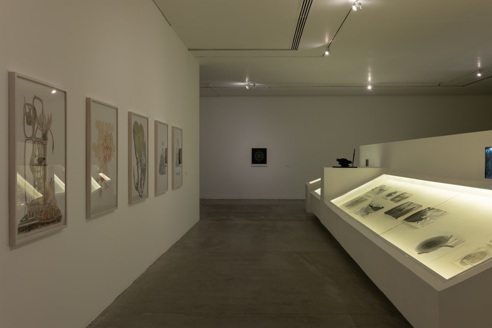 Time Feels Less If We Stay Still,” May 31 – October 26, 2025, Museo de Arte de Zapopan. Courtesy of Museo de Arte de Zapopan (MAZ). Photo: Lazarillo