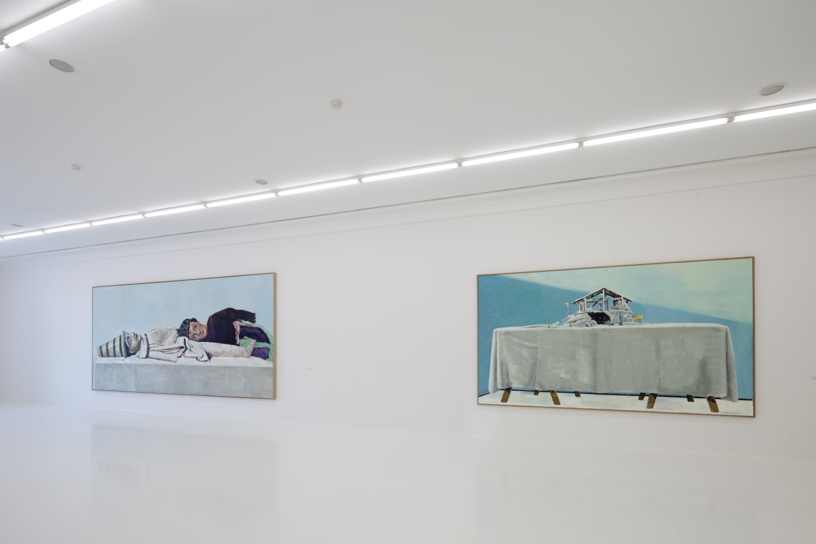 Installation view, Marc-Antoine Fehr: Stillleben/LePaysage sans fin, Helmhaus Zurich, Zurich, Switzerland, 2011