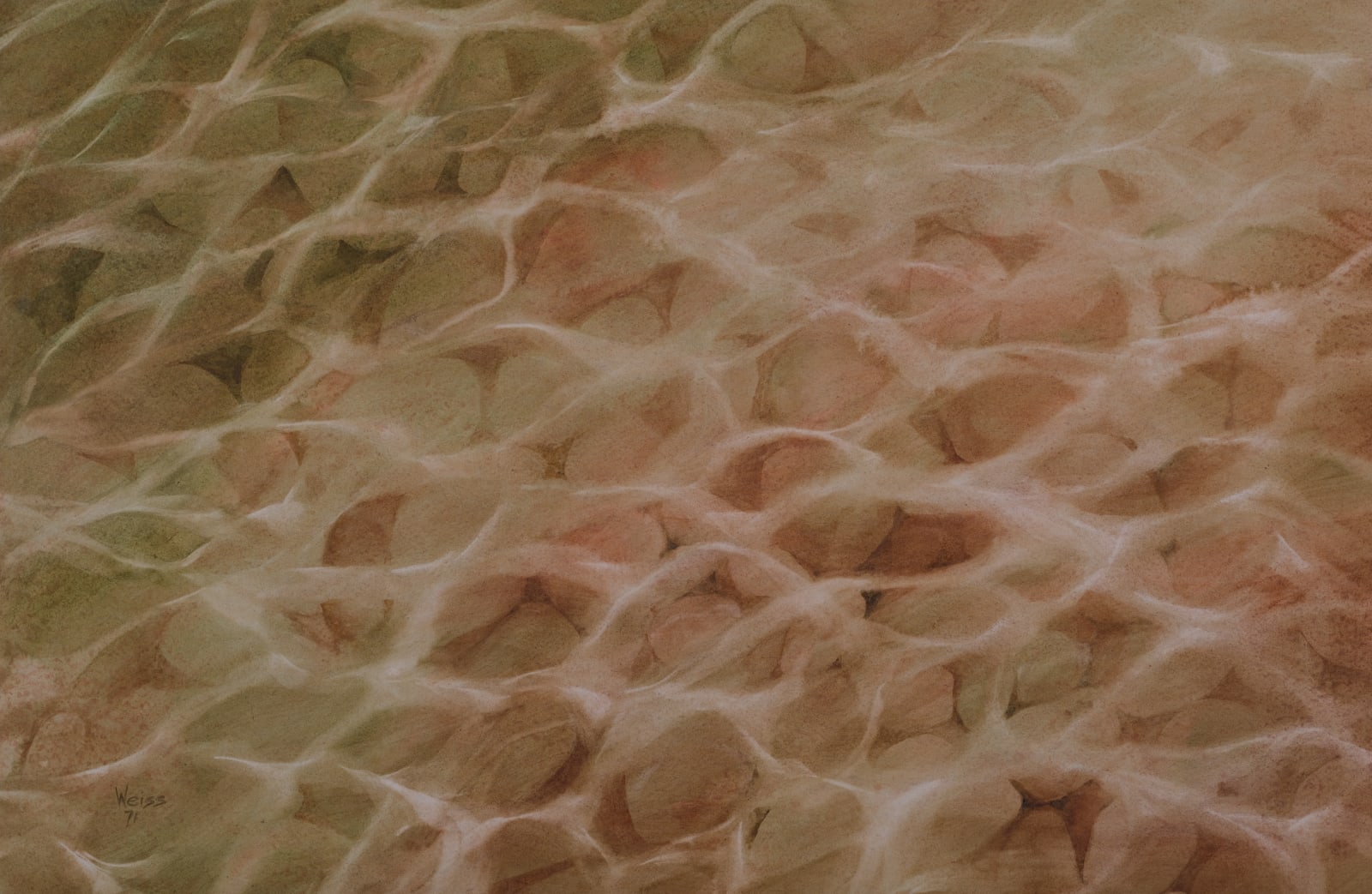 Lee Weiss, River Bottom, 1971