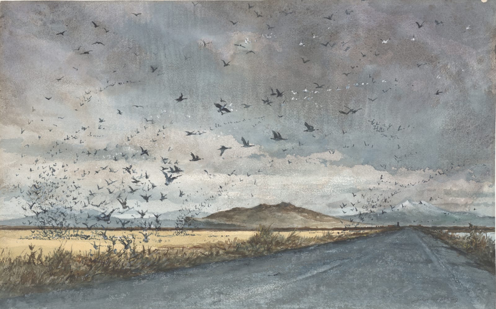 John W. McCoy, Tule Lake Refuge, 1969