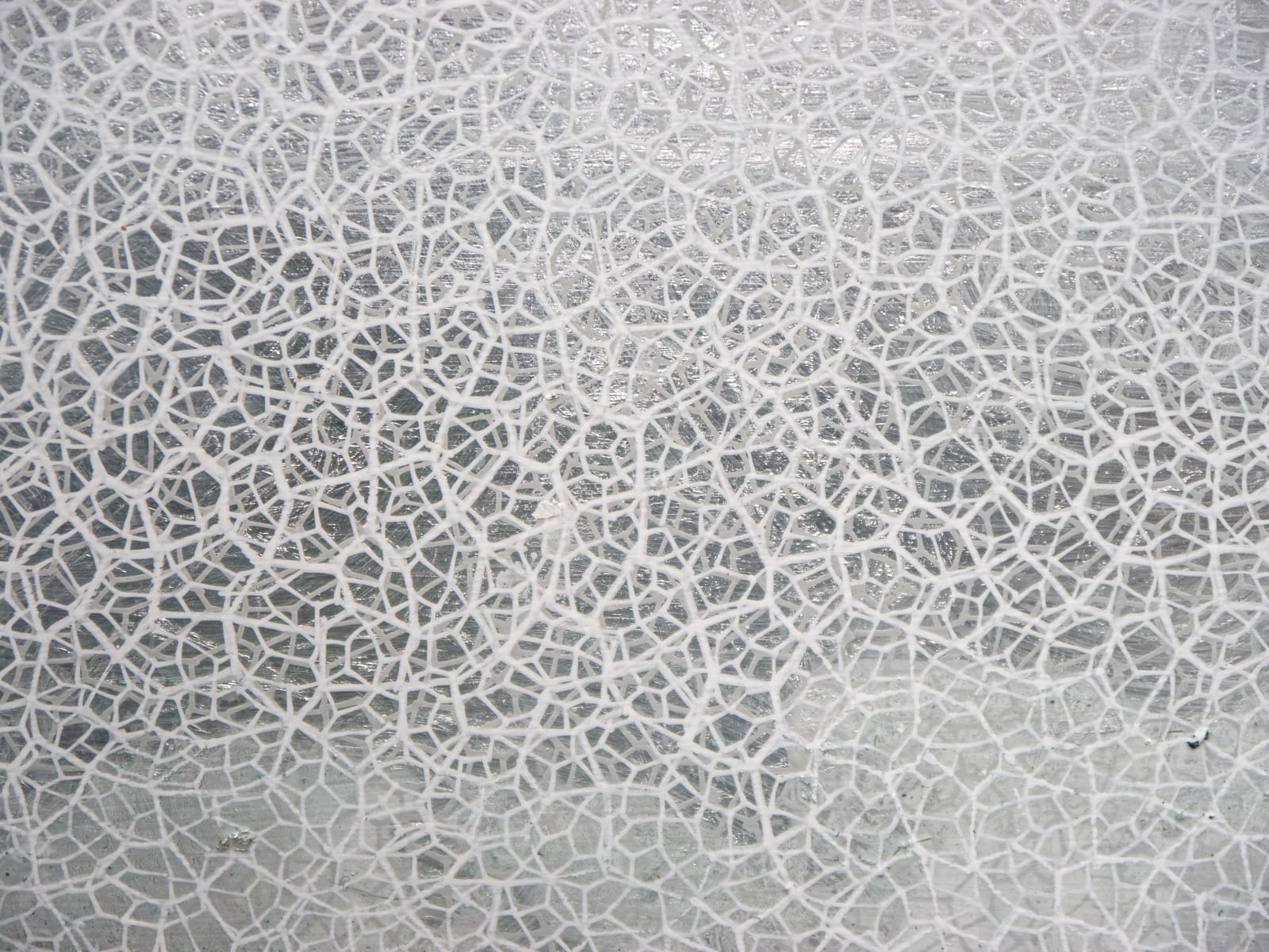 Salt Fog Light, 2024