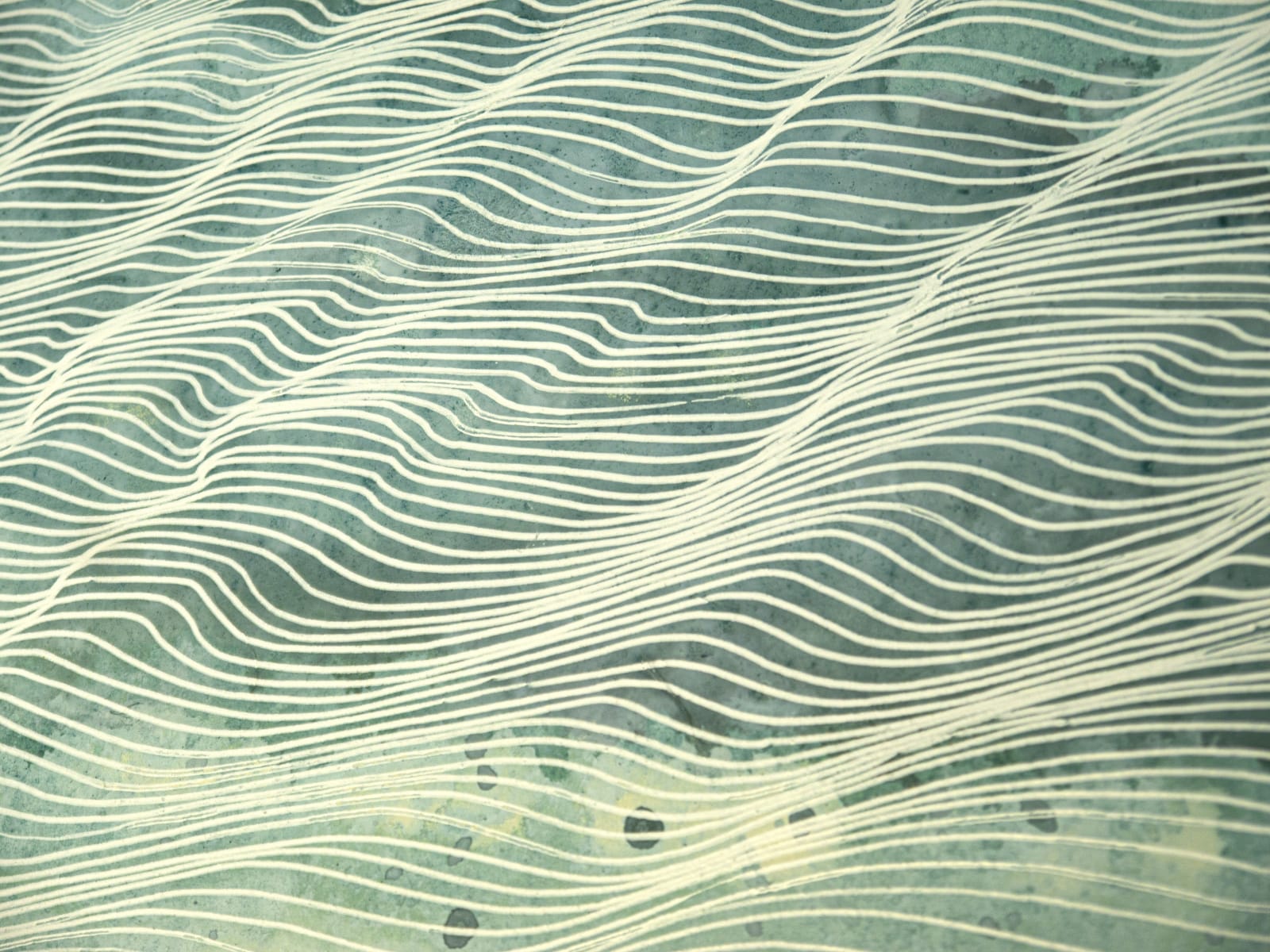 Shallow Ripples, 2023