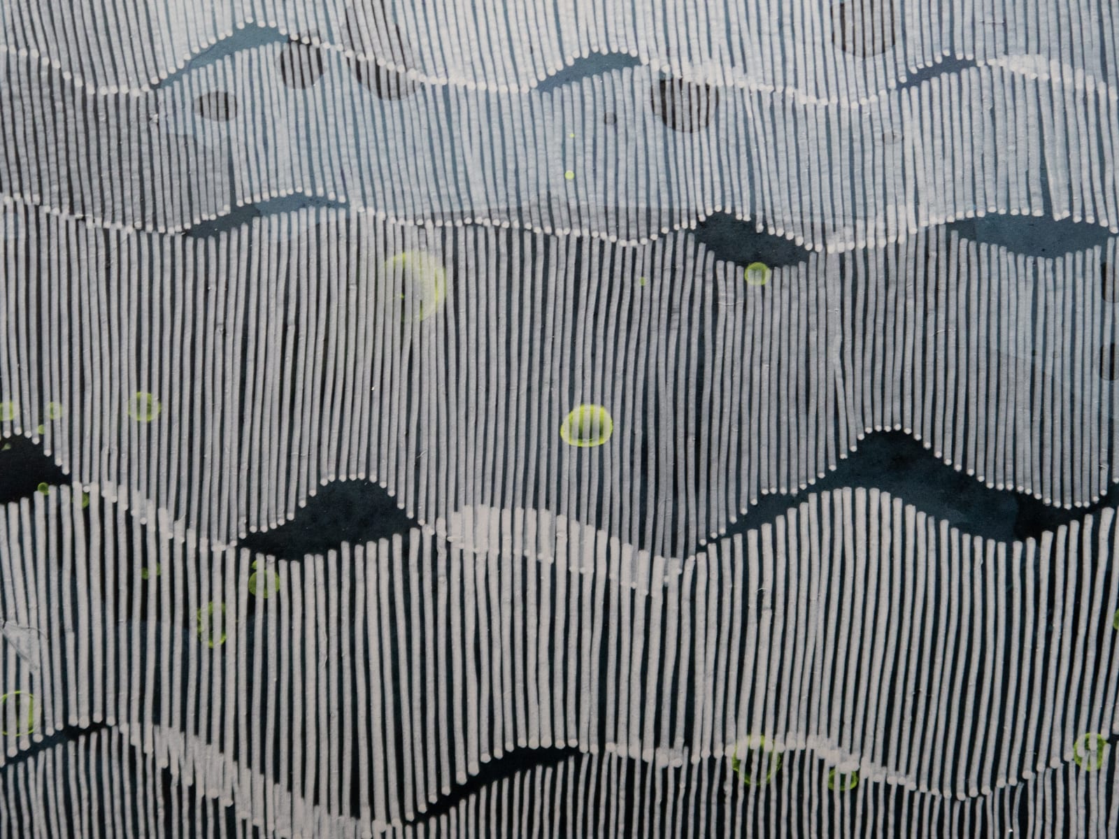 A Line that Circles, 2024