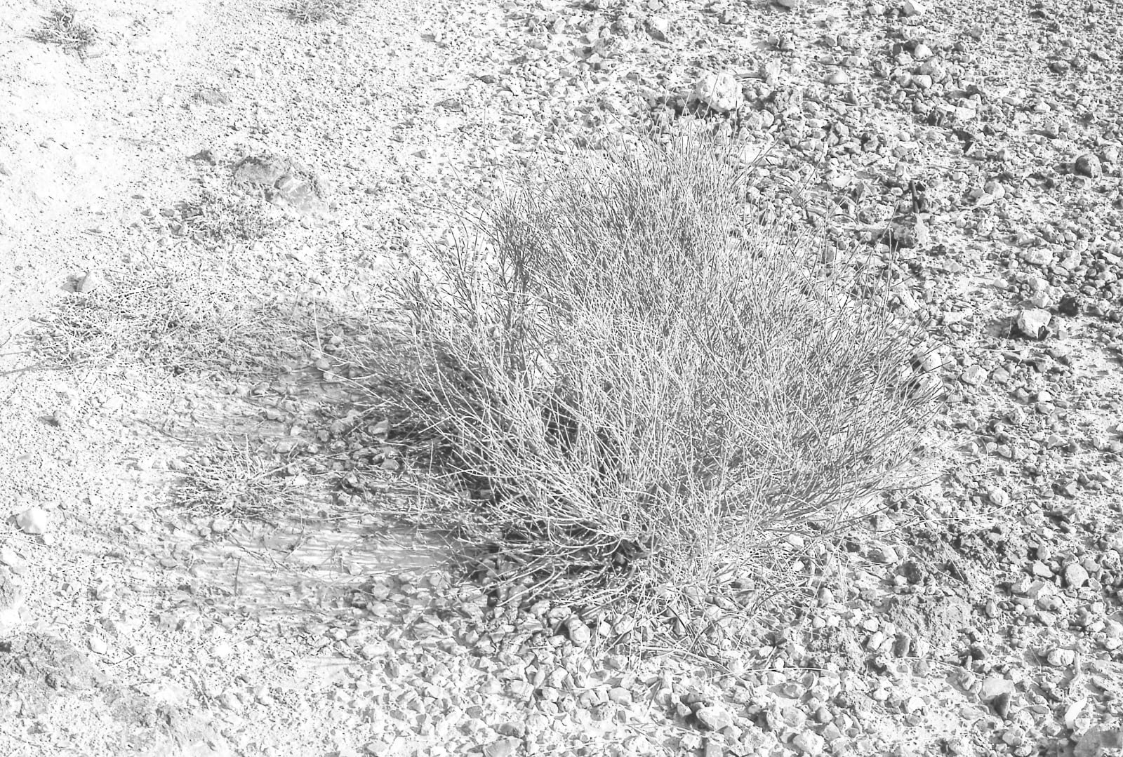 The mountain of God [#12], 2017