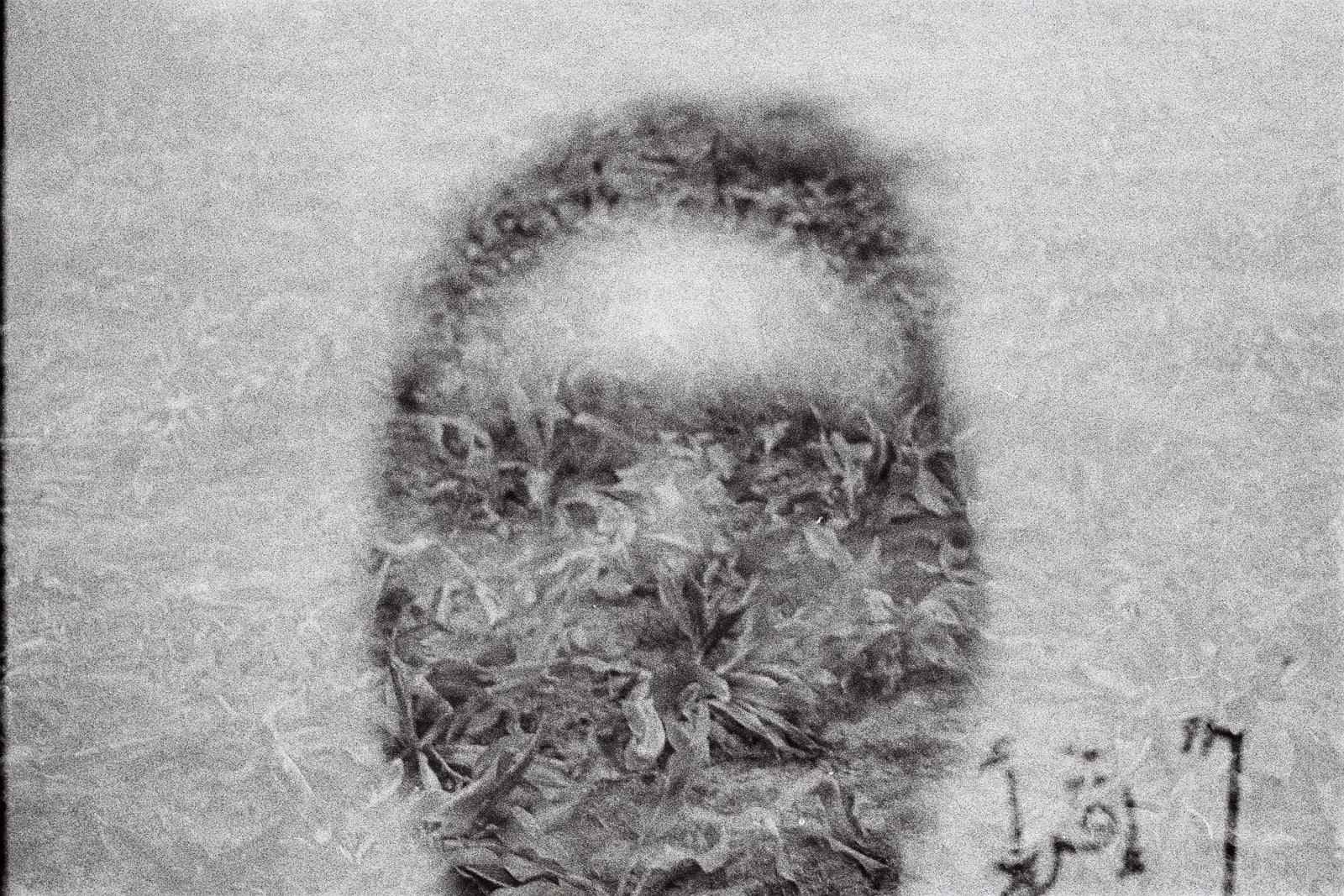 Fakhri El Ghezal, Chott Maria 4, 2014