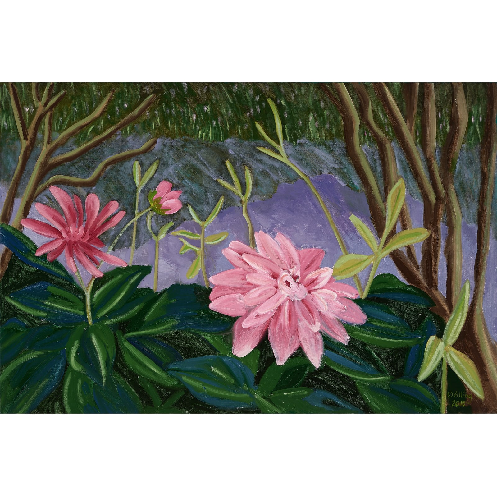 Janet Alling Giverny 17: Pink Dahlias/Trees & Water, 2017 oil on linen 24 x 36 in