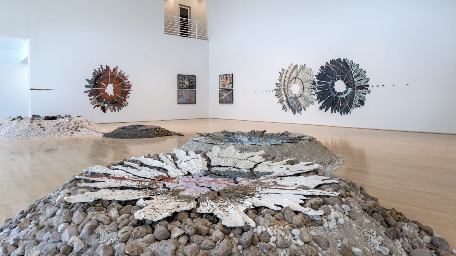 Installation view of Brie Ruais: Movement at the Edge of the Land. Photo by Nash Baker, courtesy of the Moody Center for the Arts, Rice University, Houston