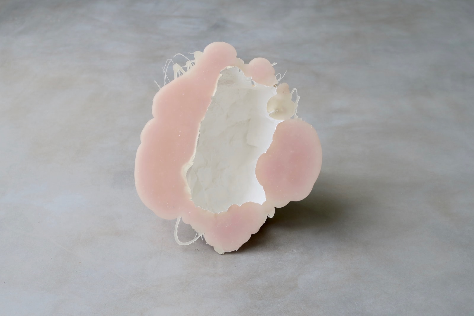 The Flesh of the World #12, 2015