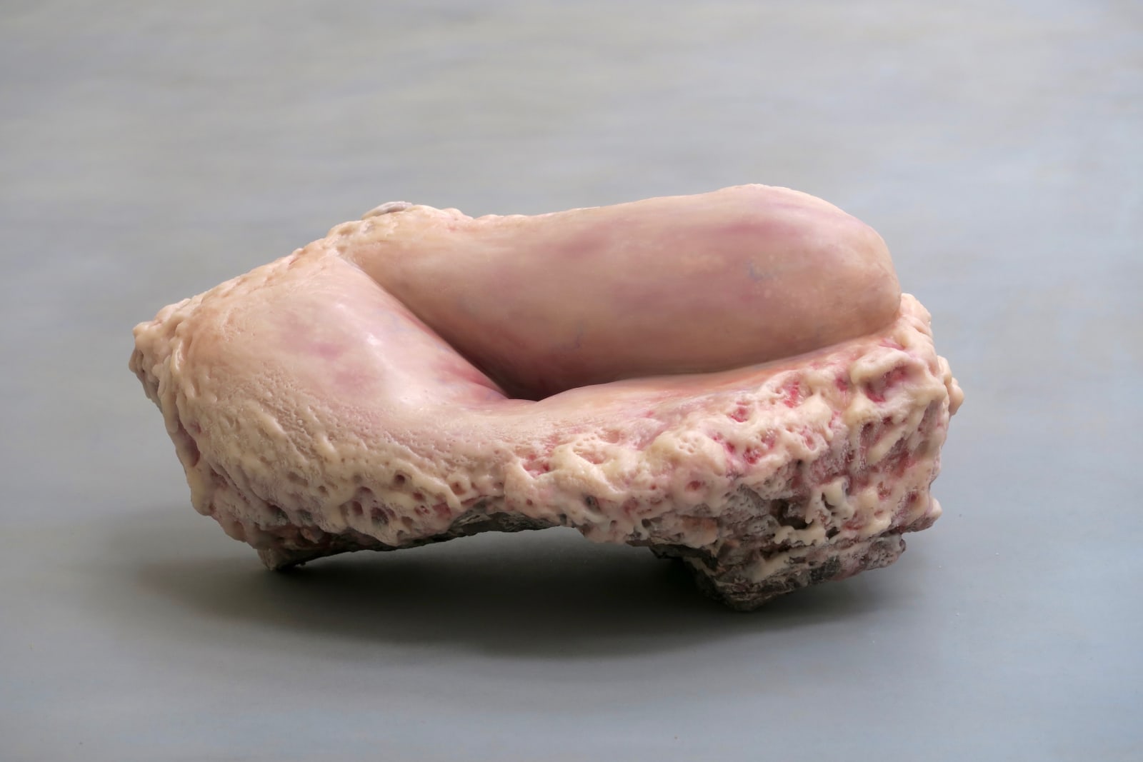 More than human #5, 2017