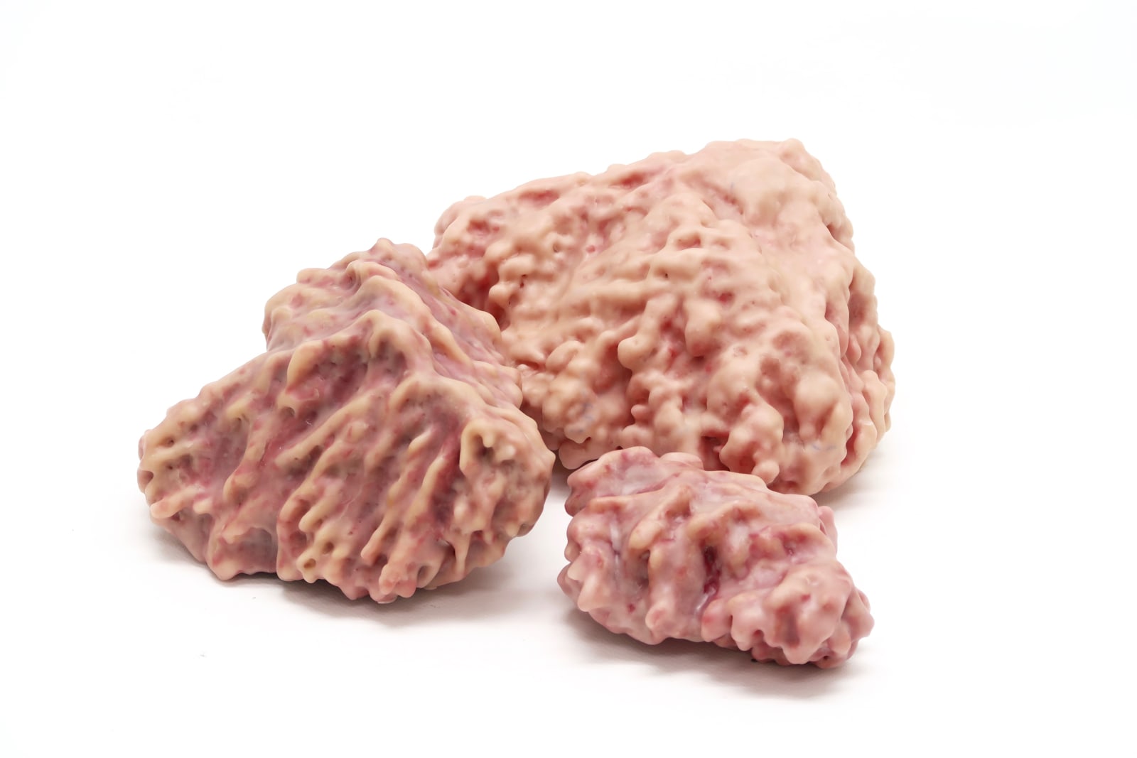 A pound of flesh, 2017