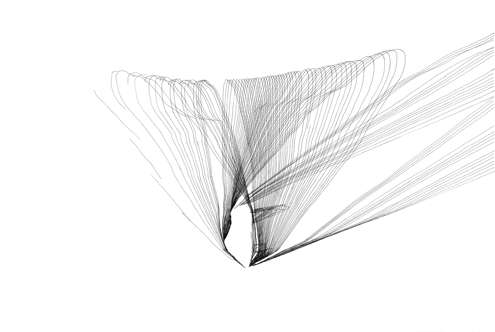 Orbit - February, 2025