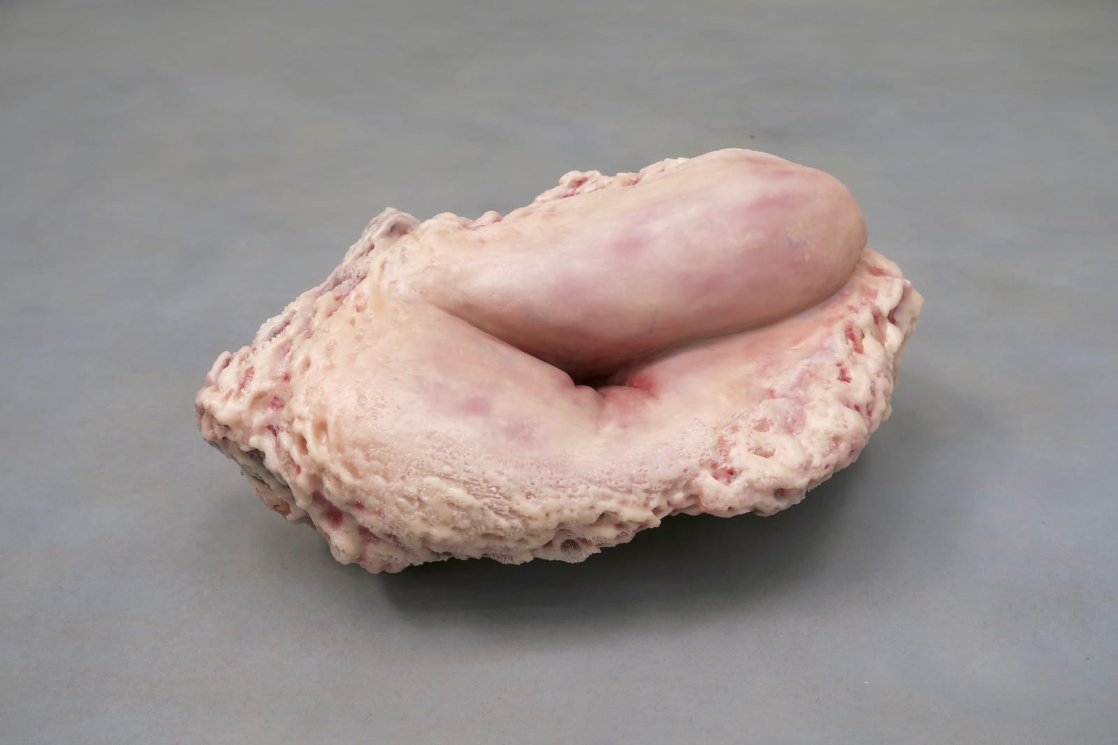 More than human #5, 2017