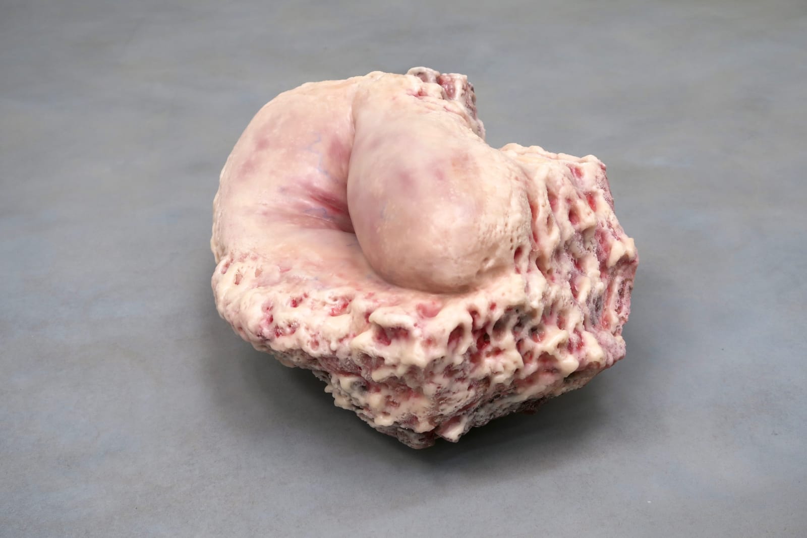 More than human #5, 2017