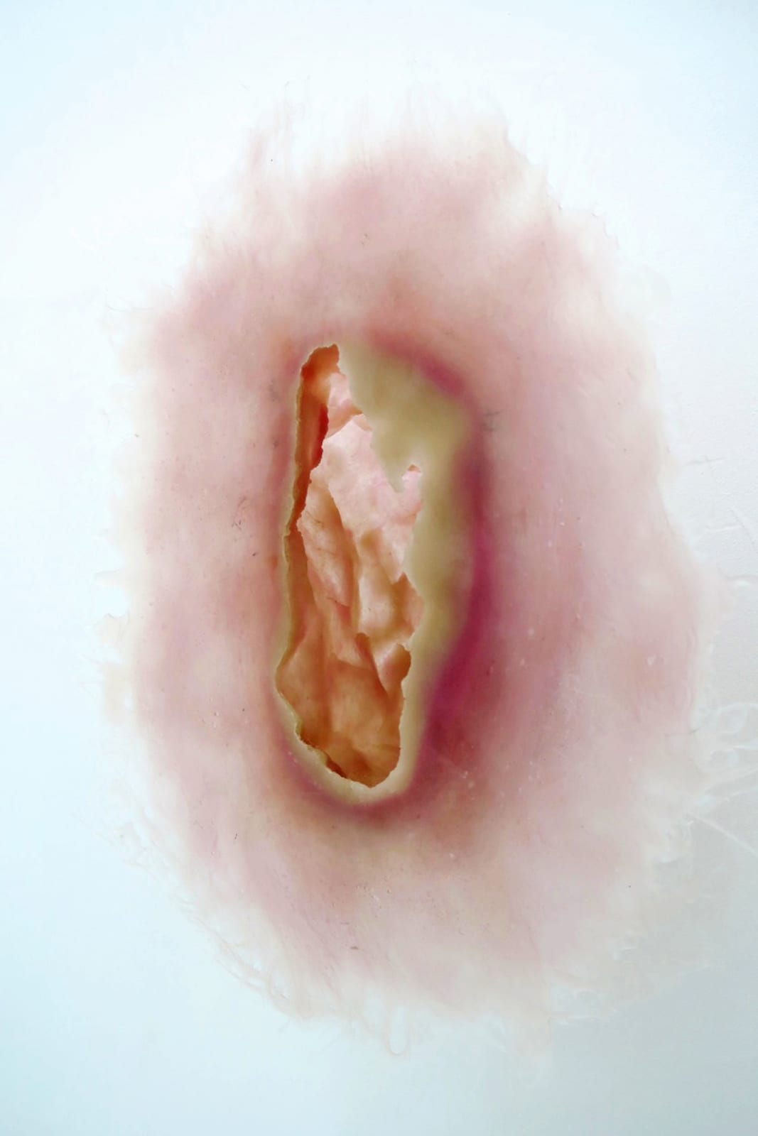 The flesh of the world #3, 2015