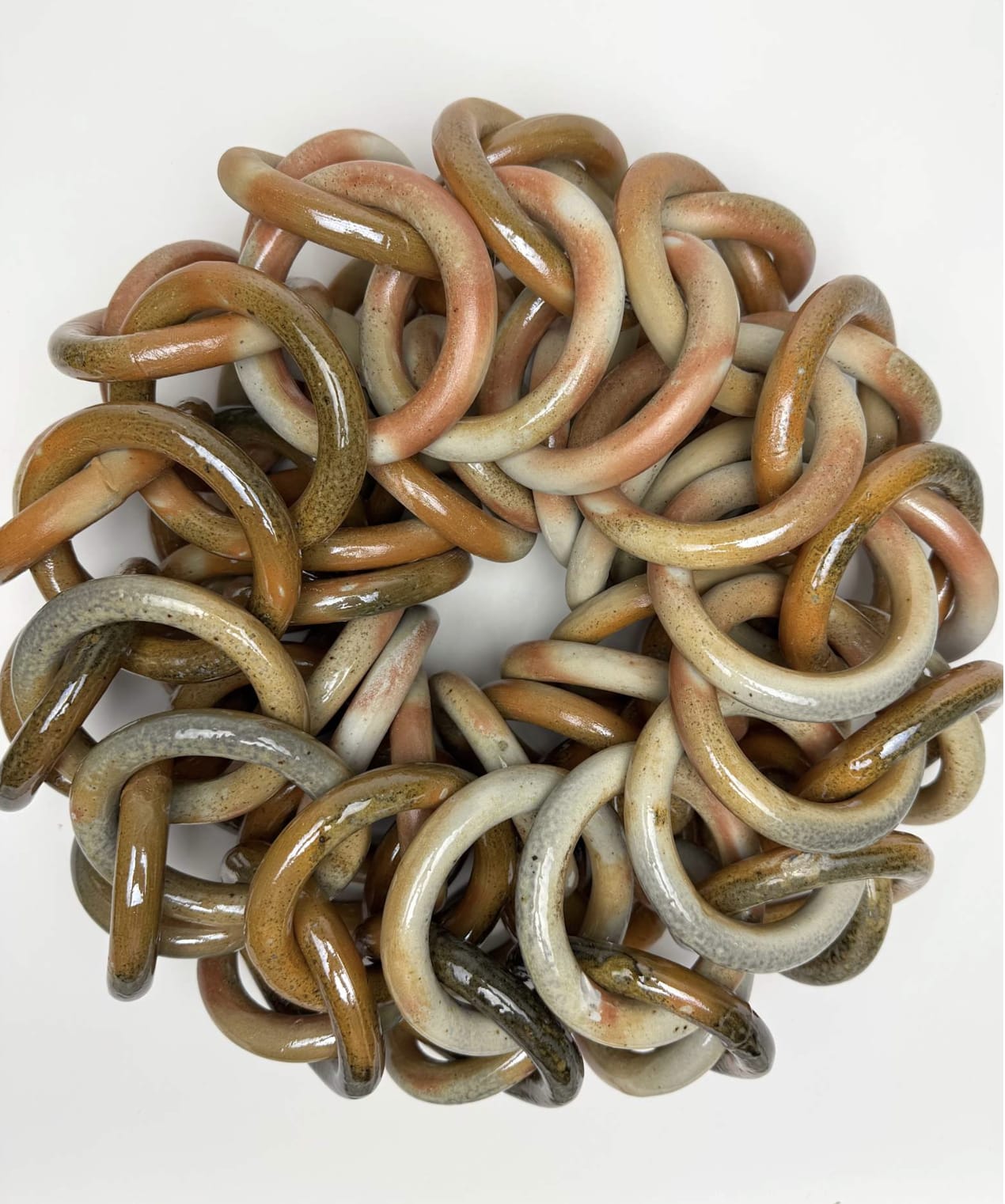 Ruth Borgenicht, Smokey Amber Centipede , 2025