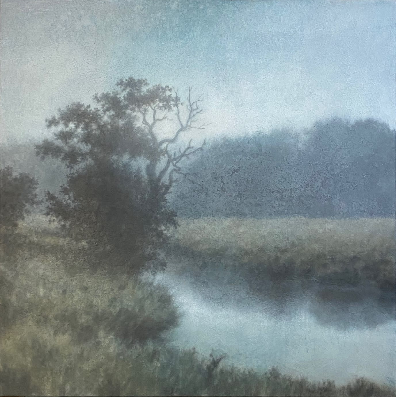 Michael Dines, WALNUT ON POND RUN, 2025