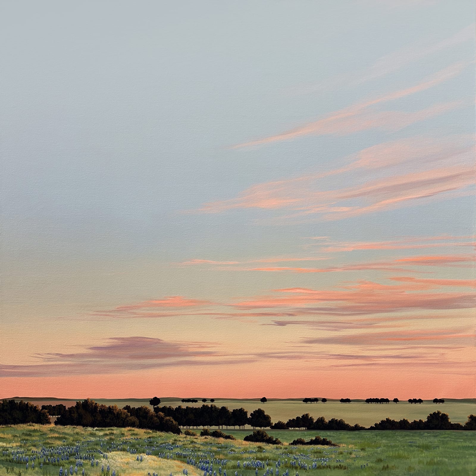 Kristin Moore, Texas Bluebonnets, 2024